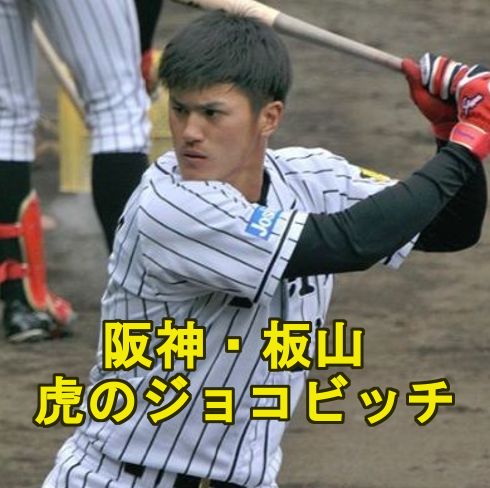 板山祐太郎 阪神 はジョコビッチ似 評価は イケメンで彼女も調査